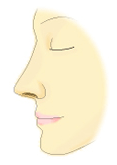 鼻中隔延長術イラスト
